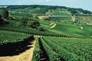 Property for sale in Burgundy