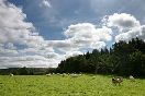 Property for sale in Limousin