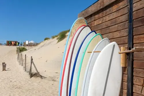 surf_beach