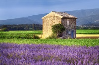 Property in Provence Verte